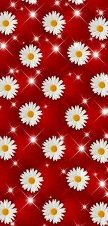 Red background with daisies and sparkles wallpaper.
