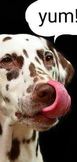 Dalmatian dog licking lips with 'yum!' speech bubble on a black background.