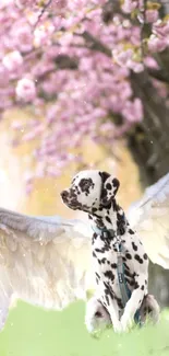 Dalmatian with angel wings under pink cherry blossoms.