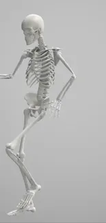 Skeleton dancing on a minimalist gray background, artistic wallpaper design.