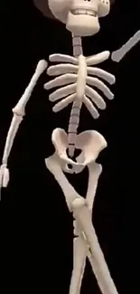 Whimsical dancing skeleton on a dark background.