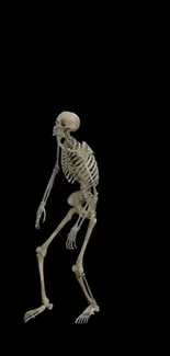 A detailed skeleton dancing on a black background, creating an artistic mobile wallpaper.