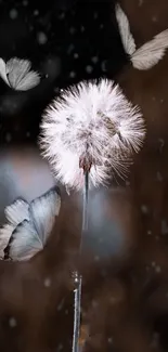 Dandelion with butterflies in a dreamy scene.