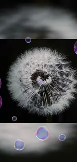 Mobile wallpaper with dandelion and bubbles on dark background.