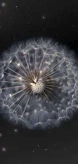 Delicate dandelion against a black background, ideal for a serene wallpaper.