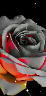 Dark abstract rose with vibrant red hues on black background.