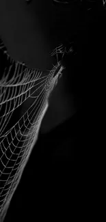 Elegant dark wallpaper featuring a spider web design against a black background.