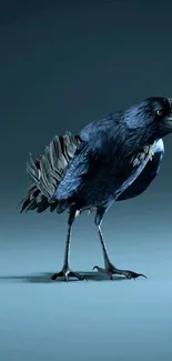 Dark blue crow standing on a blue background.