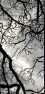 Dark branches silhouette on a mystical sky in mobile wallpaper.