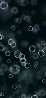 Dark gray mobile wallpaper with floating bubbles.