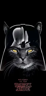 Cat in a black helmet with a dark, humorous theme.