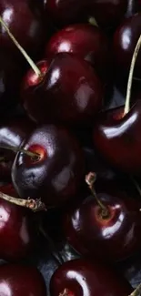 Dark red cherry fruit wallpaper with vibrant colors and juicy appearance.