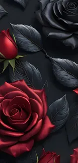 Red and black roses on a dark background.