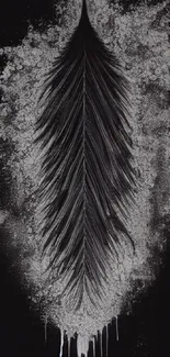 Dark feather art with textured effect on black background.