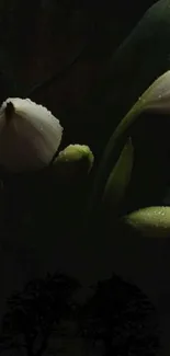 Dark floral wallpaper with white buds and green leaves on a black background.