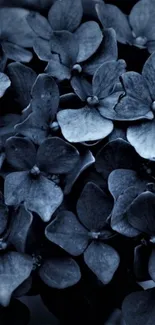 Dark floral wallpaper with blue petals, creating a moody and elegant ambiance.