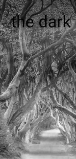 Black and white tunnel under twisted trees.