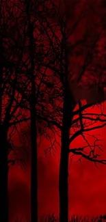 Dark silhouetted trees against a red sky wallpaper.