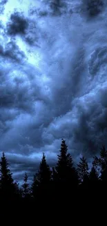 Dark forest silhouette under dramatic stormy sky with blue clouds.