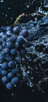 Dark grapes with dynamic water splash on a mobile wallpaper.