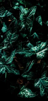 Dark green leaf wallpaper with dramatic shadows and textures.