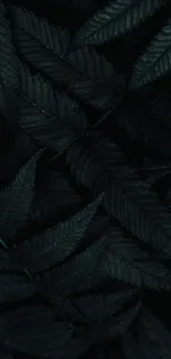 Dark green fern leaves create a tranquil mobile wallpaper design.