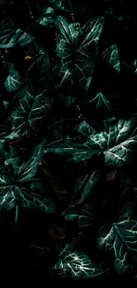 Dark green leaf wallpaper with intricate details.