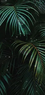 Wallpaper with dark green tropical leaves and lush foliage.