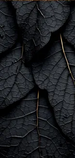 Close-up of dark leaf texture with veins visible.