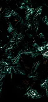 Dark green leafy wallpaper with intricate patterns and depth.