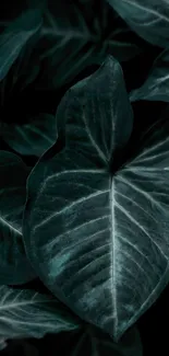 Dark green leafy wallpaper for mobile screen.