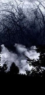 Dark night scene with moonlit sky and tree silhouettes.