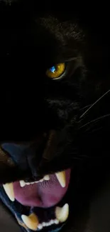 Close-up of a fierce dark panther with striking yellow eyes and sharp teeth.