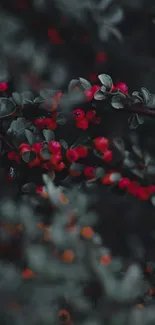 Dark moody wallpaper with red berries and green foliage.