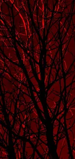 Silhouette of tree branches against a red background in dark-themed wallpaper.