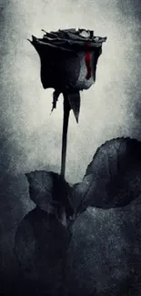 Dark monochrome rose with a gothic touch on a mobile wallpaper.