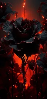 Dark rose with glowing red lights in a mysterious setting.