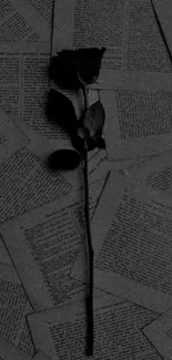 Dark rose lying on overlapping book pages, creating a dramatic effect.