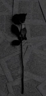 Dark rose on scattered book pages background.