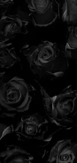 Black and white rose pattern mobile wallpaper.