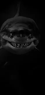 Dark shark face mobile wallpaper.