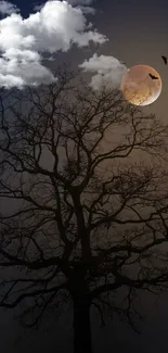 A dark tree silhouette against a full moon in a tranquil night sky wallpaper.