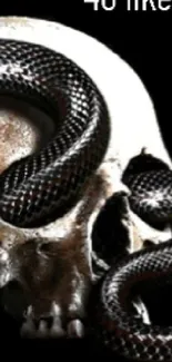 Dark skull with coiled snake mobile wallpaper.