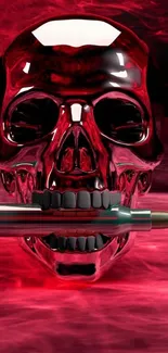 Dark red skull holding a bullet mobile wallpaper.