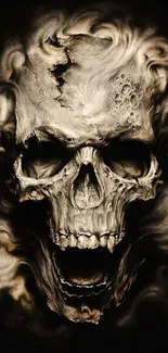 Dark skull artwork wallpaper with haunting details and shadows.