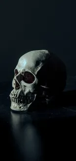 Dark skull on black surface, eerie art background.