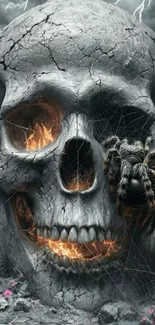Cracked skull with fiery elements and spider.