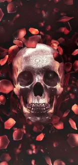 Skull with dark red petals mobile wallpaper.