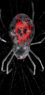 Close-up of a spider with red markings on a dark web.