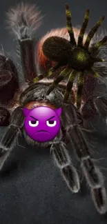 Dark gray tarantula with an emoji mask on black background.